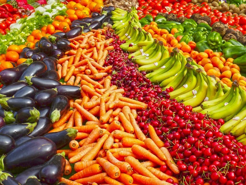 The Importance of Nutrition in Surgical Recovery
